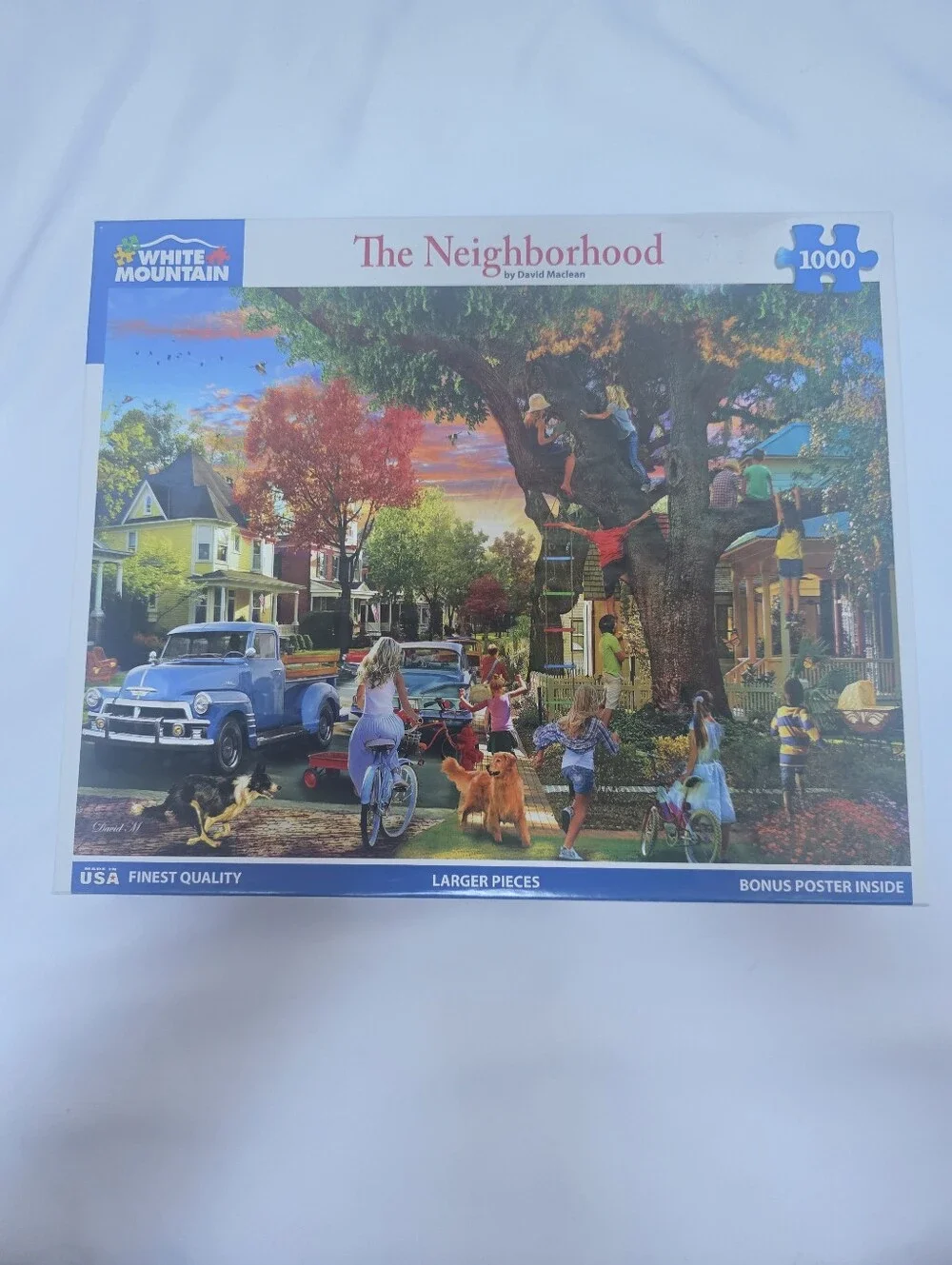 White Mountain The Neighborhood 1000 Piece Puzzle David MacLean 1908